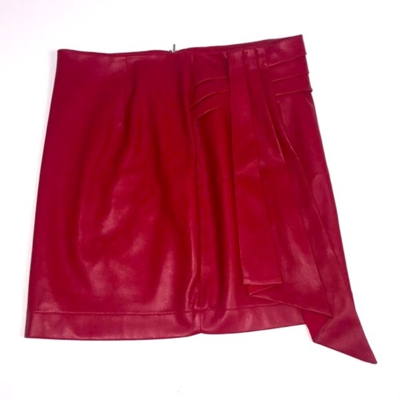 NWT SAYLOR CORALINE SKIRT - Picture 6 of 9